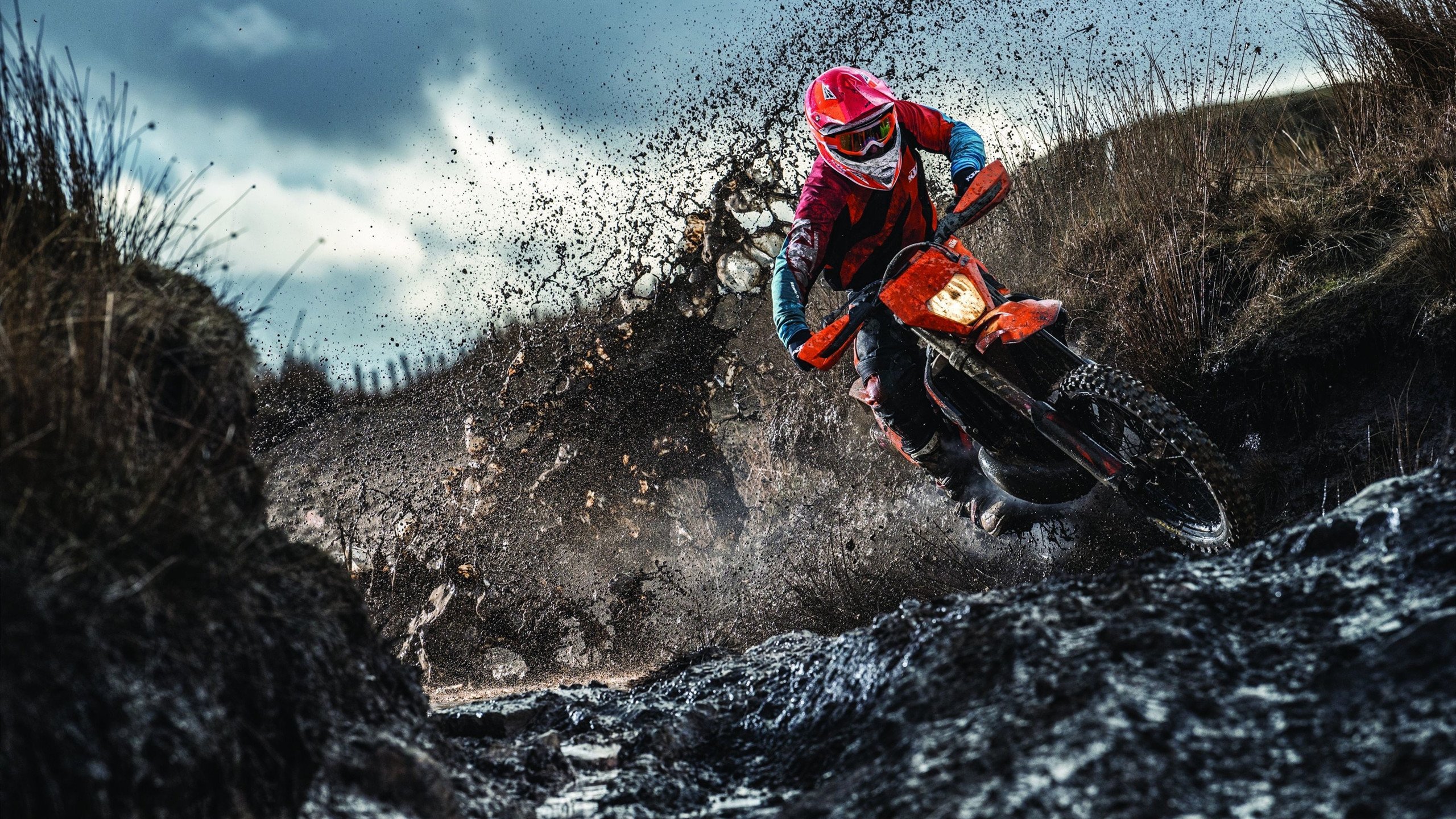 克罗地亚马术协会推出马术运动员健康管理系统,关注运动员身心健康。